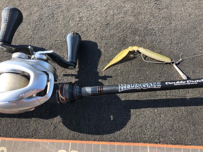 o1080080914366641388