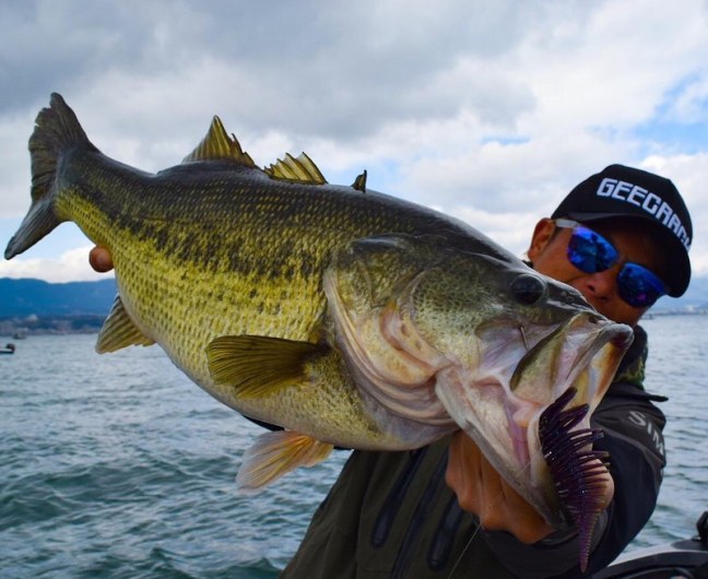 o1080088414378135445