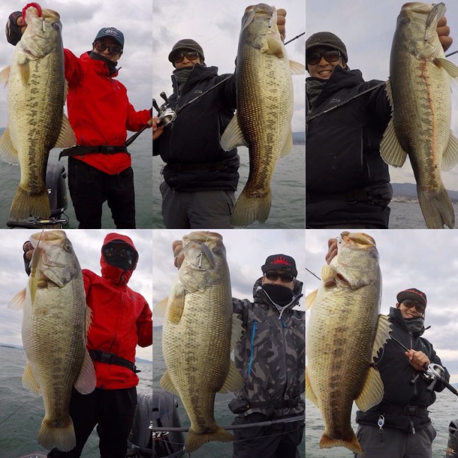 o1080108014377468406