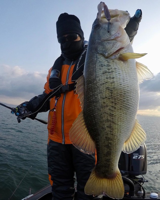 o1080135014364429291