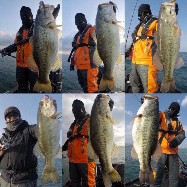 o2048204814364517499