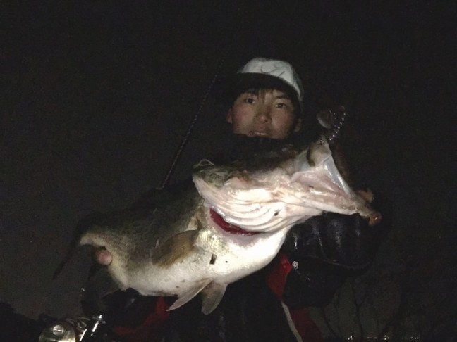 o1478110814381480695